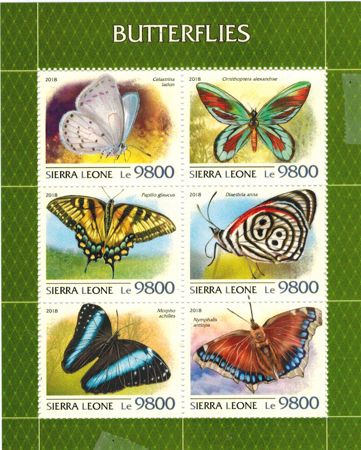 Каталог stampworld. Сьерра Леоне марки бабочки 1991. Сьерра Леоне марки бабочки 1988. Марки бабочки. Филателия бабочки.
